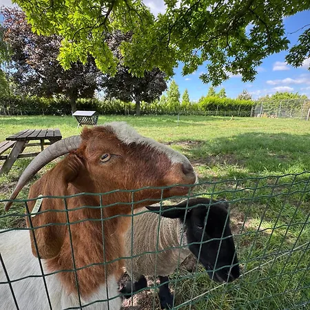 Logeren Bij Heeren