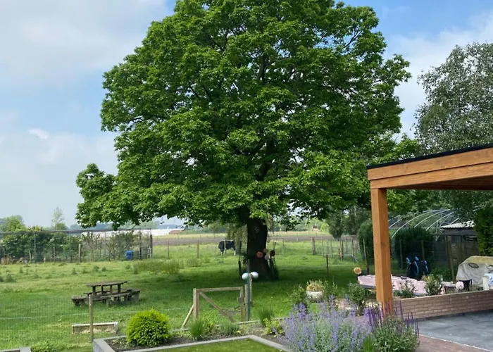 招待所 罗根凡麒麟住宿加早餐旅馆