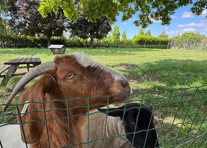 罗根凡麒麟住宿加早餐旅馆