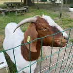 Logeren Bij Van Heeren