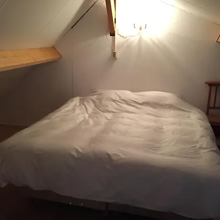 招待所 罗根凡麒麟住宿加早餐旅馆 3*