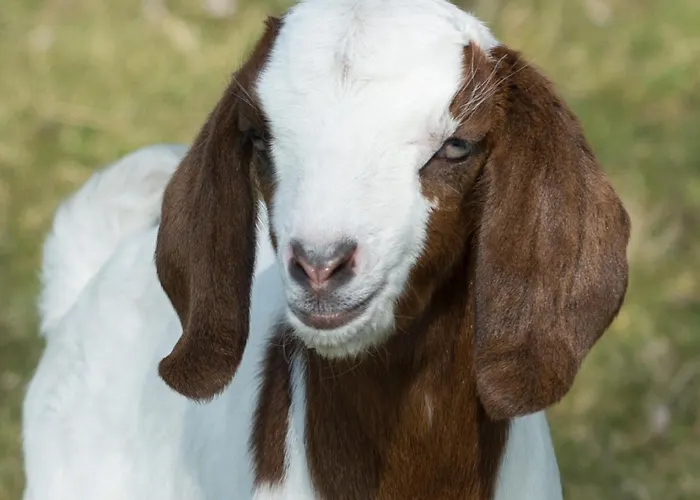 Gasthof Logeren Bij Van Heeren 3*